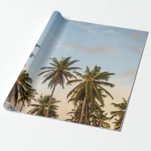 Papel De Presente Árvores de coco sob céu nublado pela manhã