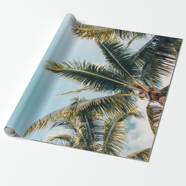Papel De Presente Árvores de coco verdes (Desenrolado)