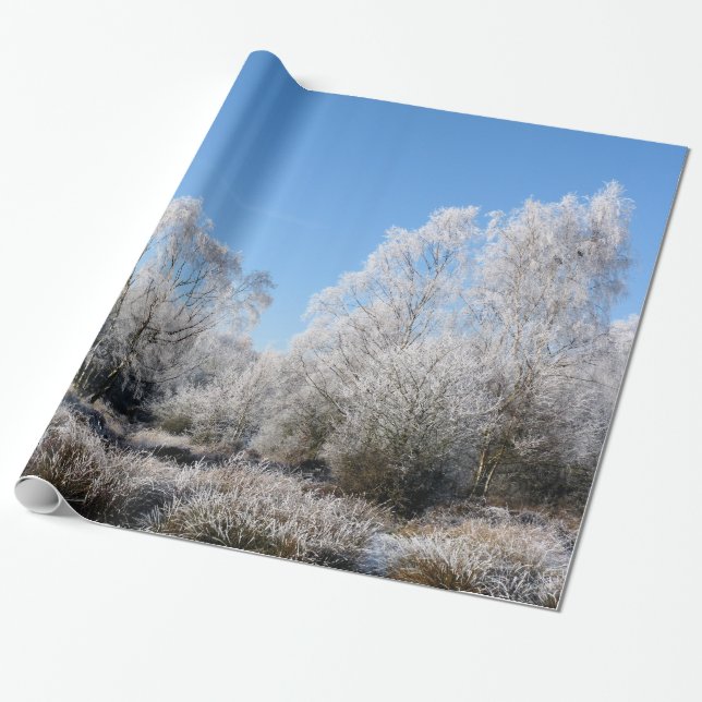 PAPEL DE PRESENTE ÁRVORES DE INVERNO (Desenrolado)