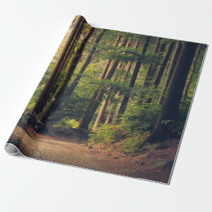 PAPEL DE PRESENTE ÁRVORES FLORESTAIS