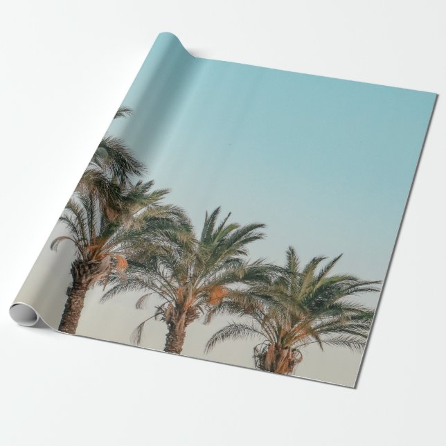 PAPEL DE PRESENTE ÁRVORES VERDE PALM SOB PELE AZUL (Desenrolado)