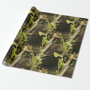 Papel De Presente As borboletas no amor...  .