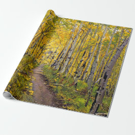 Papel De Presente Aspen Tree Forest no outono