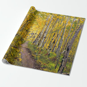 Papel De Presente Aspen Tree Forest no outono