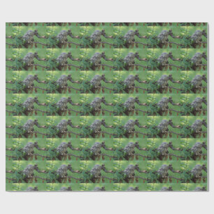 Papel De Presente Athene noctua