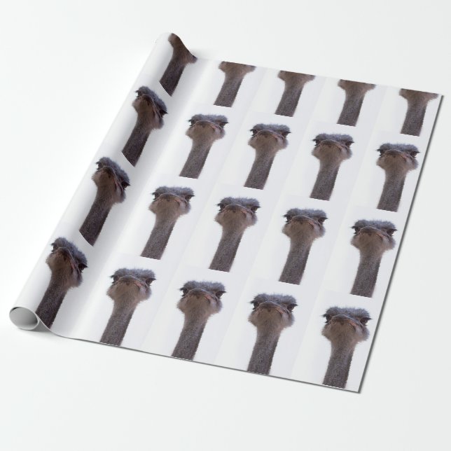 Papel De Presente Ave avestruz (Desenrolado)