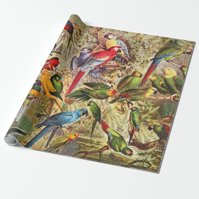 Papel De Presente Aves Tropicais Clássicas Vintage (Desenrolado)