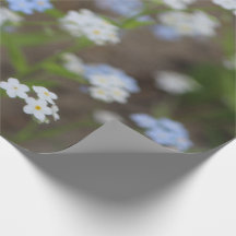 Azul Delicado e Floral Branco
