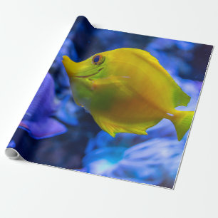Papel De Presente Azul E Amarelo - Dois Bons Pescados