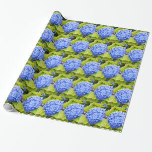 Papel De Presente Azul, hydrangea floral