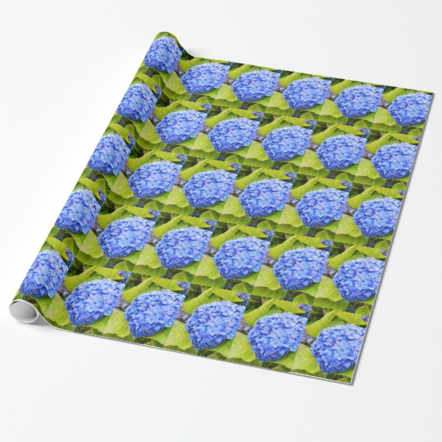 Papel De Presente Azul, hydrangea floral (Desenrolado)
