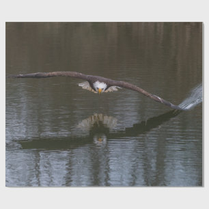 Papel De Presente Bald Eagle em Voo