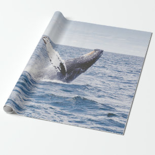 Papel De Presente Baleia Gigante Salta Para Fora Do Oceano 