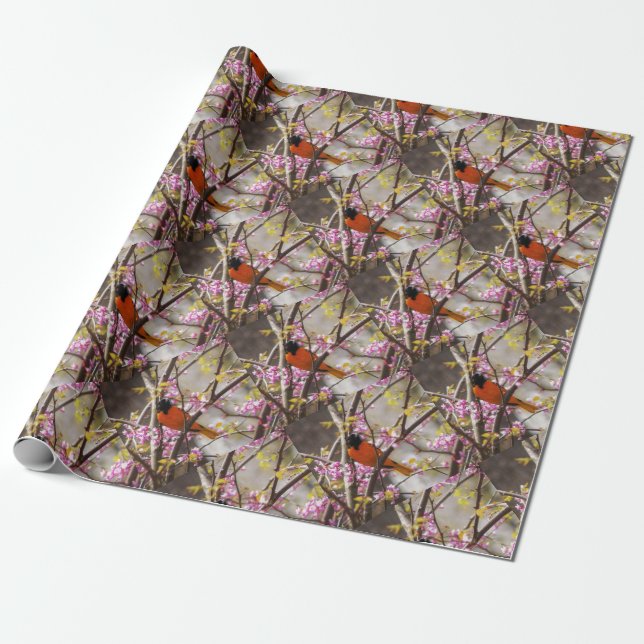 Papel De Presente Baltimore Oriole (Desenrolado)