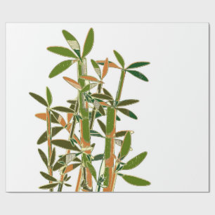 Papel De Presente Bambu verde isolado em fundo branco