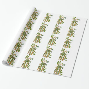 Papel De Presente Bambu verde isolado no fundo branco