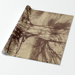 Papel De Presente Beech Tree (por Eugène Atget)