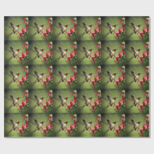 Papel De Presente Beija-flor Colorido