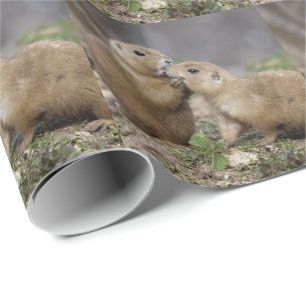 Papel De Presente Beije-me Papel Rápido