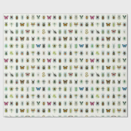 Papel De Presente Bela coleção de insetos aquarela estilo besouros 