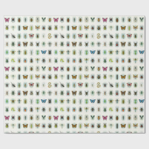 Papel De Presente Bela coleção de insetos aquarela estilo besouros