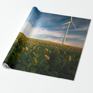 Papel De Presente belas flores do sol campo com céu azul nublado a