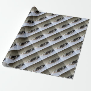 Papel De Presente Beleza Dormindo
