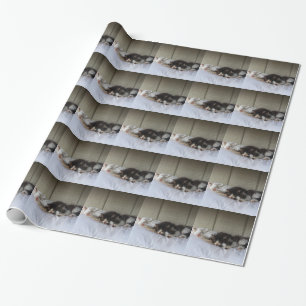 Papel De Presente Beleza Dormindo