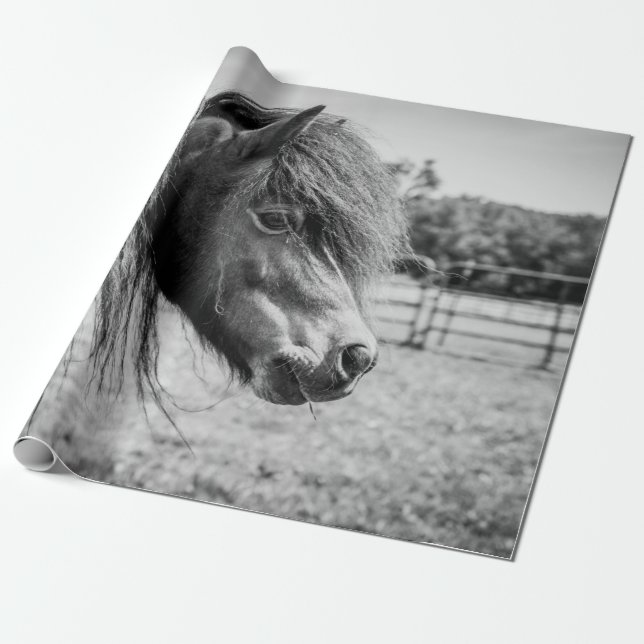 PAPEL DE PRESENTE BELO CAVALO (Desenrolado)