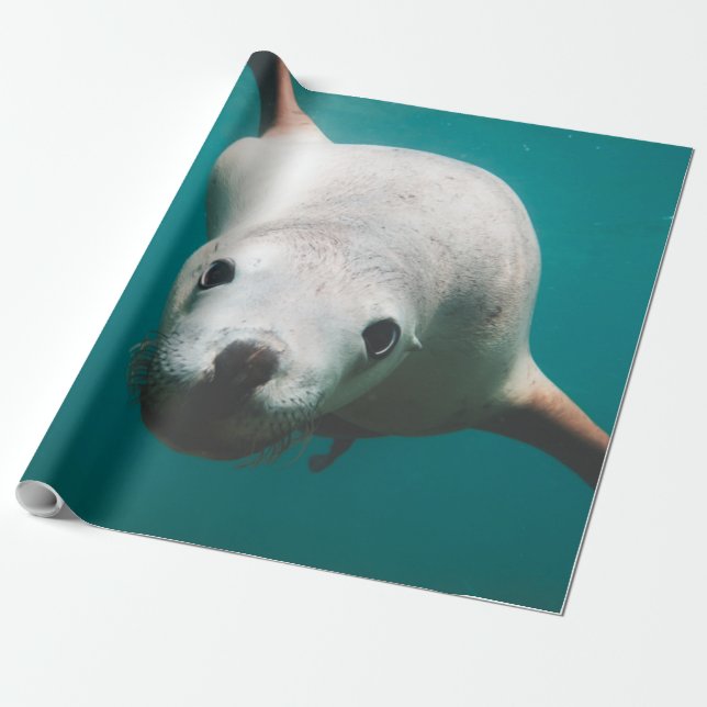 Papel De Presente Belo Leão do Mar (Desenrolado)