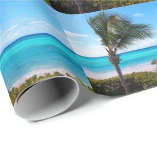 Papel De Presente Belo padrão de árvore de palmeira arejada na praia