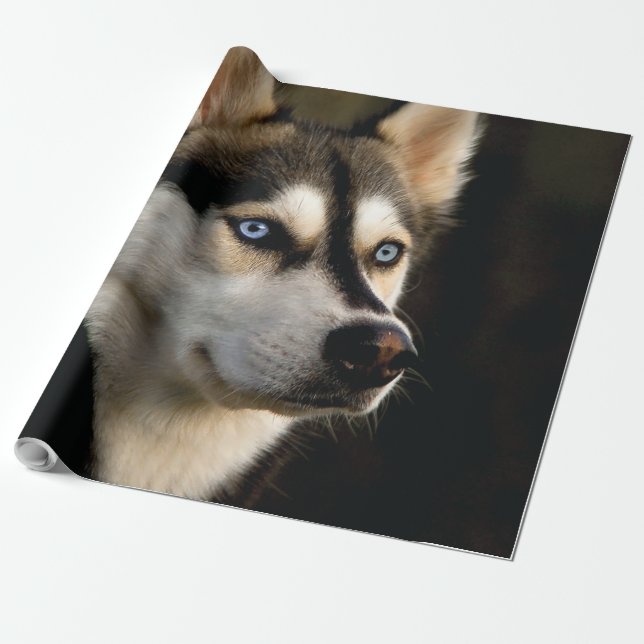 Papel De Presente Belo Travesseiro decorativo Rouco (Desenrolado)