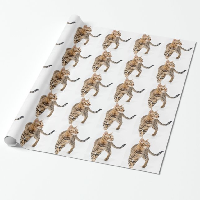 Papel De Presente Bengala Cat (Desenrolado)