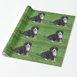 Papel De Presente Bernese Mountain Dog Puppy Foto