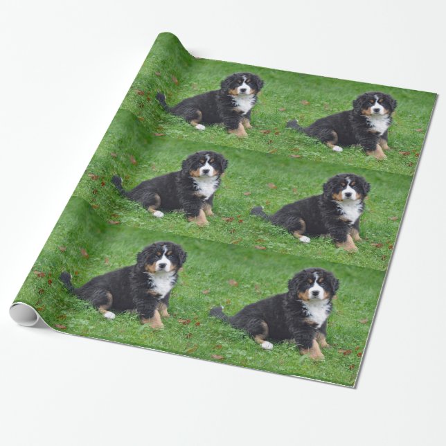 Papel De Presente Bernese Mountain Dog Puppy Foto (Desenrolado)