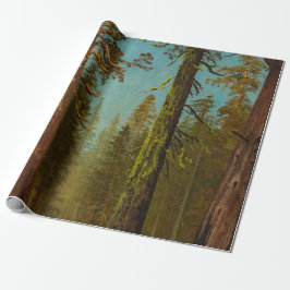 Papel De Presente Bierstadt Giant Sequoia