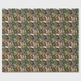 Papel De Presente Big Owl Bubo Bubo Boo - Halloween Series
