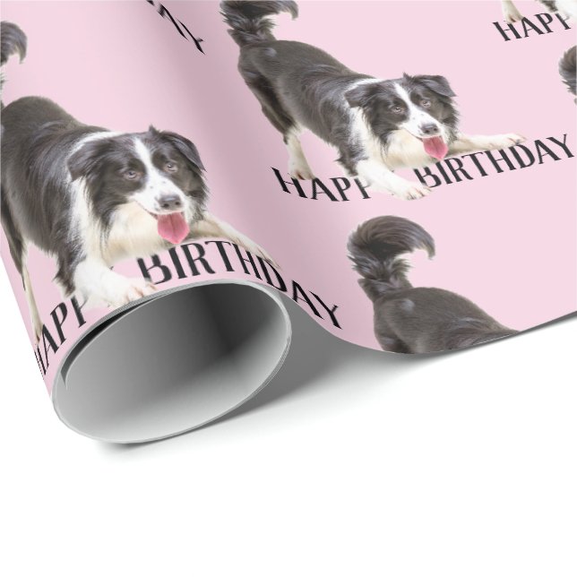 Papel De Presente Birthday Border Collie a rosa (Ponta do rolo)
