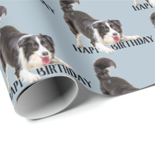 Papel De Presente Birthday Border Collie em Azul