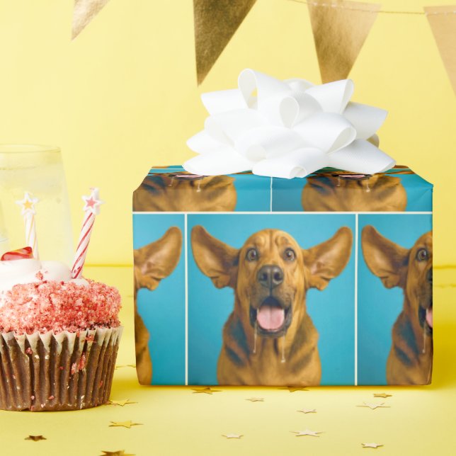 Papel De Presente Bloodhound Babando Com Expressão Surpresa (Festa de aniversário)