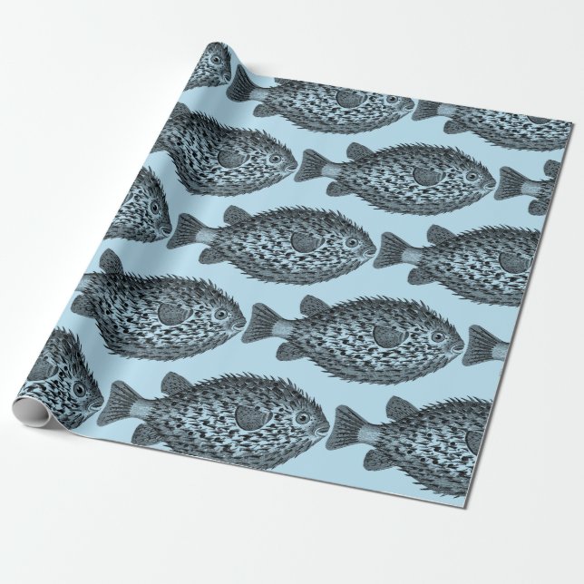 Papel De Presente Blowfish Porcupine Thunder_Cove (Desenrolado)
