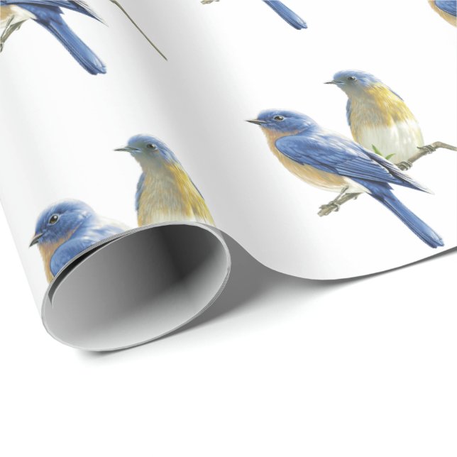 Papel De Presente Bluebird em branco (Ponta do rolo)