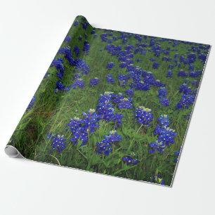 Papel De Presente Bluebonnets Blue Floral Texas Texan Elegante