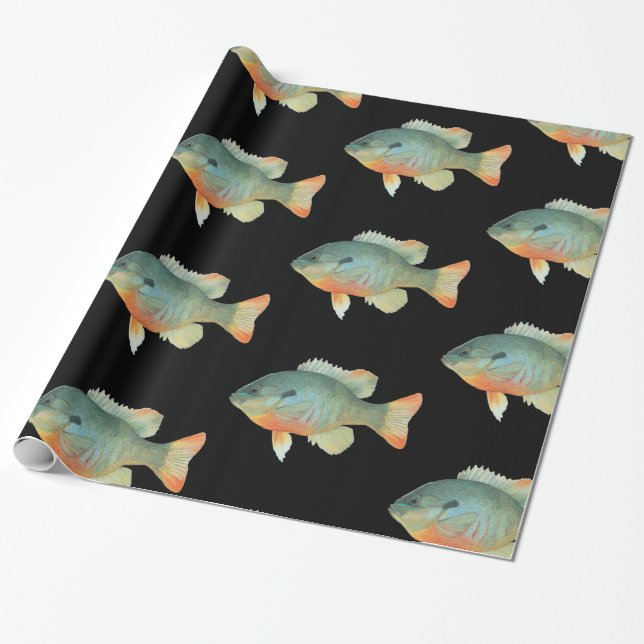 Papel De Presente Bluegill Brim Bream Sunfish Perfish Fisheries (Desenrolado)