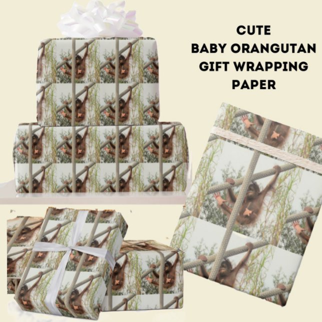Papel De Presente Bobo Baby Orangutan Wrappaper (Criador carregado)