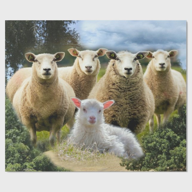 Papel De Presente Boca-Boca-Bovino (Aberto)