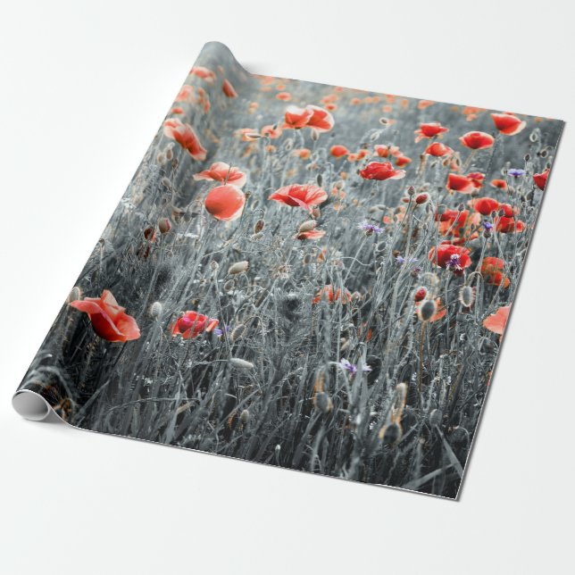 Papel De Presente Bolachas de flores silvestres (Desenrolado)