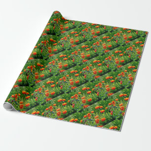 Papel De Presente Bonito espumas de laranja
