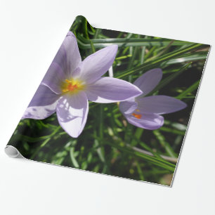 Papel De Presente Bonito flor de jardim roxo. 美 丽 的 紫 花 色