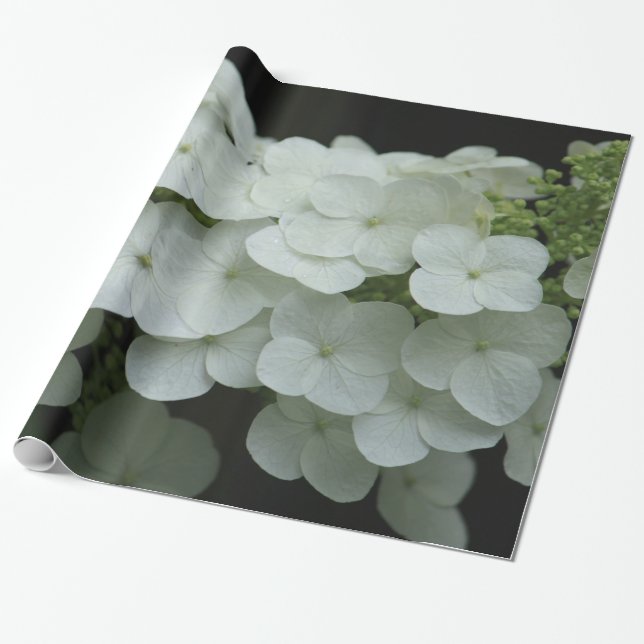 Papel De Presente Bonito Hydrangea Floral Foto (Desenrolado)